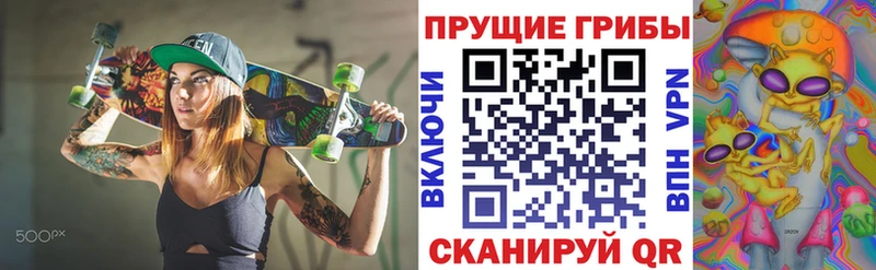 Галлюциногенные грибы Psilocybe  Сергач 