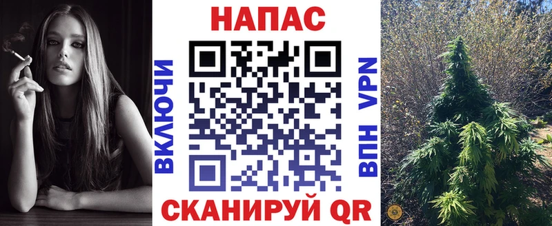 дарнет шоп  Сергач  Конопля VHQ 